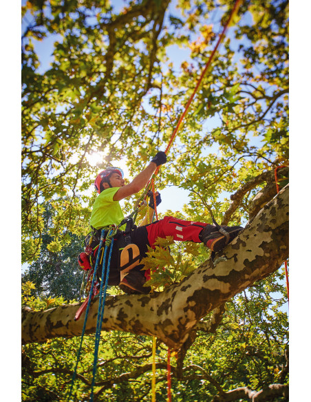 Harnais cuissard d'élagage - KOALA V2.0 - COURANT®