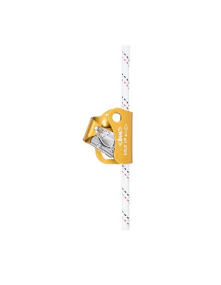 Bloqueur ventral - HOLD UP - BEAL®