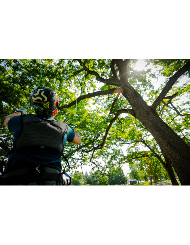 Torse - CHESTER DLX - NOTCH®