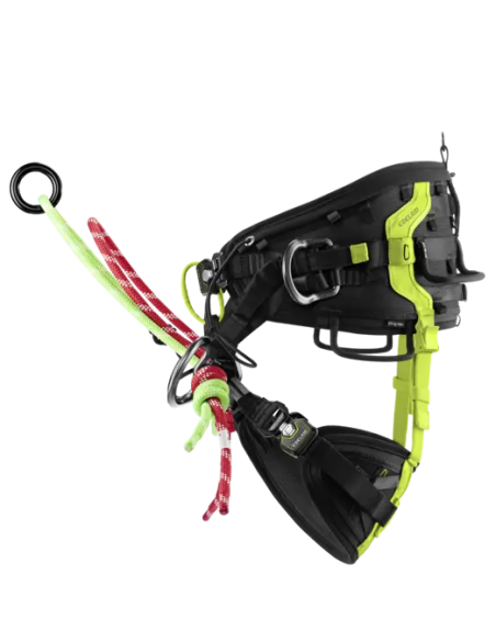 Harnais cuissard d’élagage - TREEREX II - EDELRID®