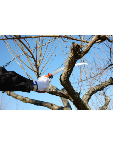 Scie à lame courbe - Denture large (7,5) -...