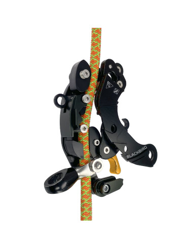 Descendeur - BLACKBIRD - ART®