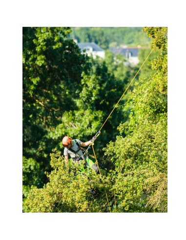 Cordes d'accès - EN 1891 A - ø11,5mm - SQUIR V2...