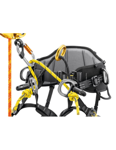 Harnais cuissard d’élagage - SEQUOIA 2026 - PETZL®