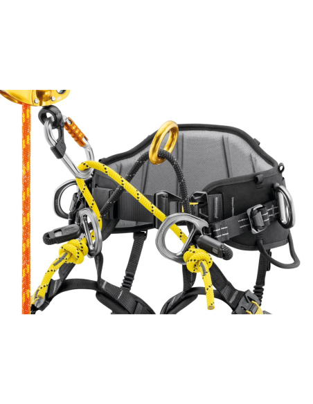Harnais cuissard d’élagage - SEQUOIA 2026 - PETZL®