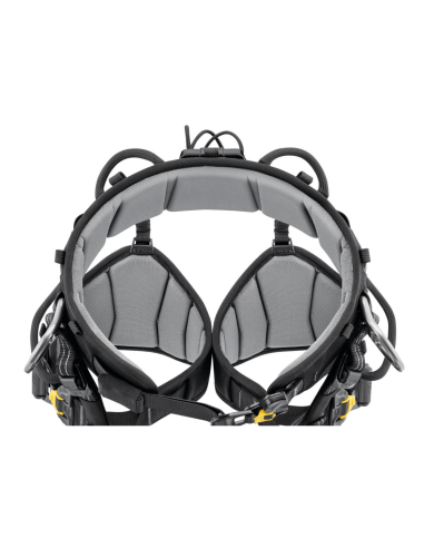 Harnais cuissard d’élagage - SEQUOIA 2026 - PETZL®