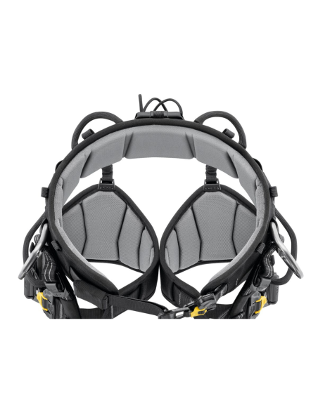 Harnais cuissard d’élagage - SEQUOIA 2026 - PETZL®