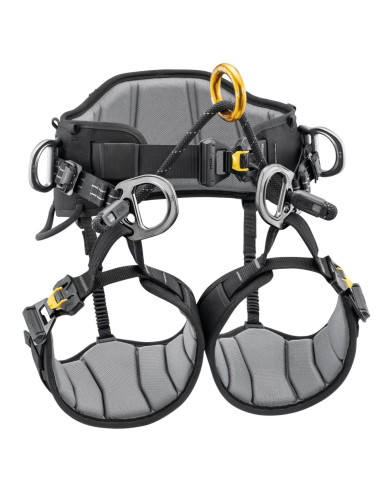 Harnais cuissard d’élagage - SEQUOIA 2026 - PETZL®