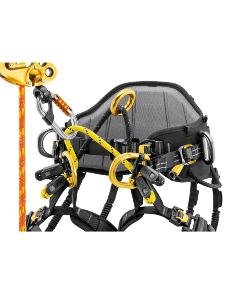 Harnais cuissard d’élagage - SEQUOIA PLUS 2026 - PETZL®