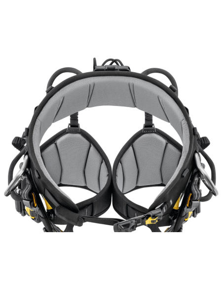 Harnais cuissard d’élagage - SEQUOIA PLUS 2026 - PETZL®