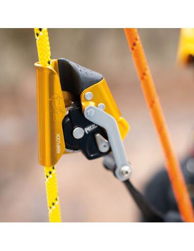 Antichute mobile - ASAP LOCK 2026 - PETZL®