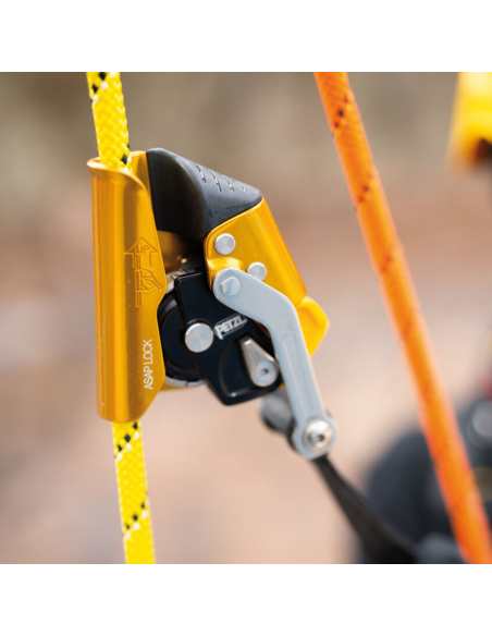 Antichute mobile - ASAP LOCK 2026 - PETZL®