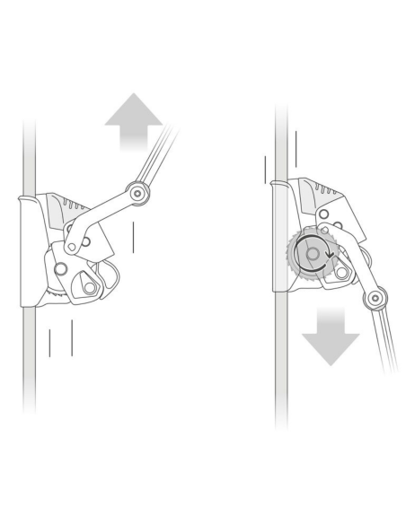 Antichute mobile - ASAP LOCK 2026 - PETZL®