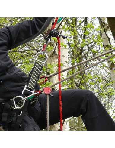 Bloqueur de longe avec émerillon - POSITIONER 2 - ART®