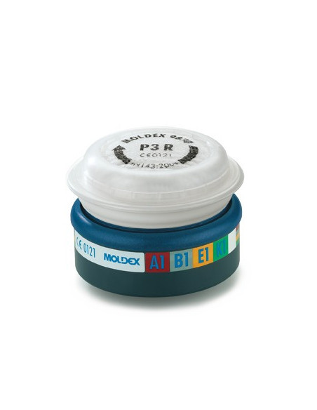 Filtres à particules P2R - EASYLOCK - MOLDEX®