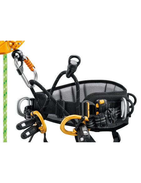 Harnais cuissard d’élagage - SEQUOIA - PETZL®