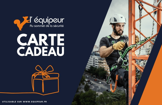 
			                        			Carte cadeau Pyloniste